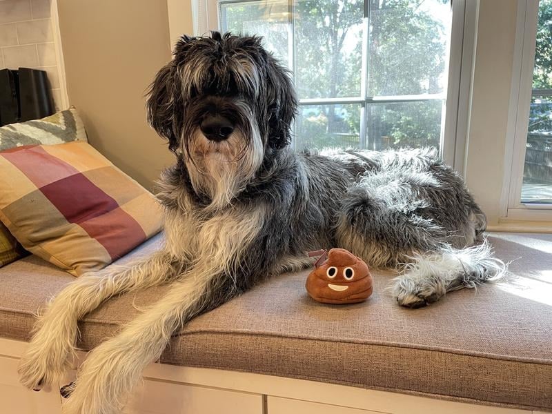 Funny  Poop Plush Toy – Makes Fart Sounds!
