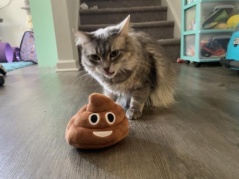 Funny  Poop Plush Toy – Makes Fart Sounds!