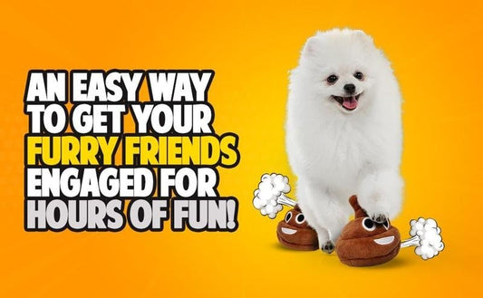 Funny  Poop Plush Toy – Makes Fart Sounds!