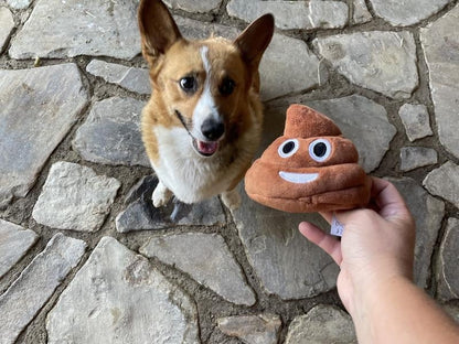 Funny  Poop Plush Toy – Makes Fart Sounds!